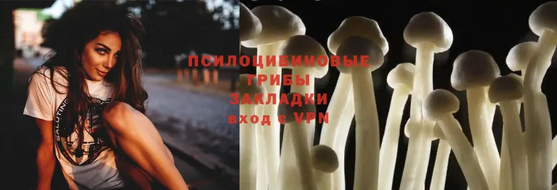 даркнет сайт  Карабаново  Галлюциногенные грибы Magic Shrooms 